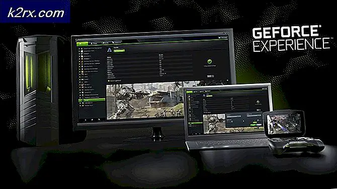Nye spilklare drivere fra Nvidia bringer support til Microsoft Flight Simulator og låser op for Ray Tracing til World of Warcraft Beta
