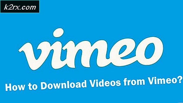Wie lade ich Videos von Vimeo herunter?