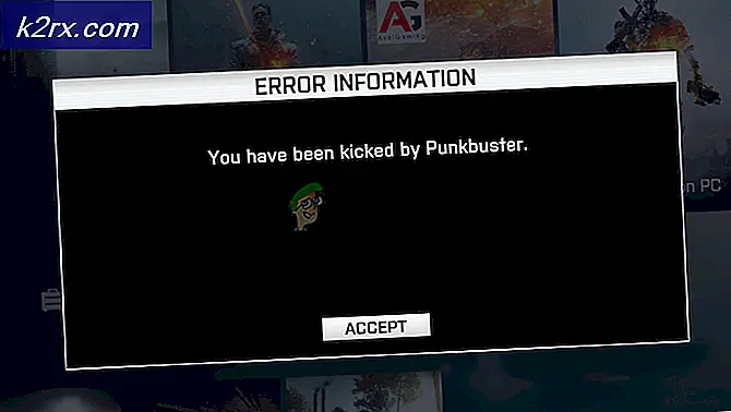 Hoe de BF4 Kicked by PunkBuster-fout op Windows oplossen?