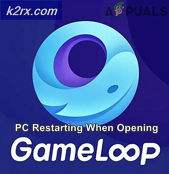 Fix: PC wird beim Öffnen der Game Loop neu gestartet