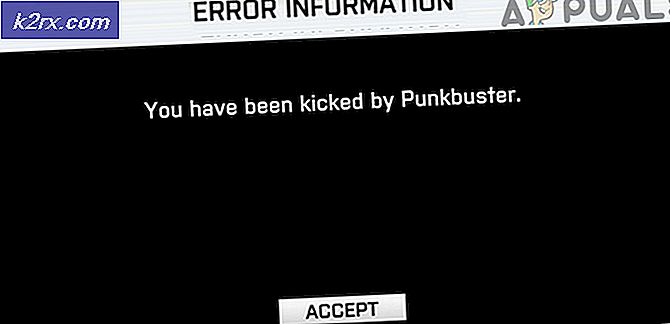 Wat is PunkBuster en kan ik het verwijderen?