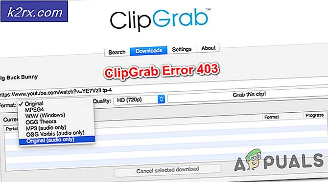 Beheben Sie den ClipGrab-Fehler 403 unter Windows und MacOS