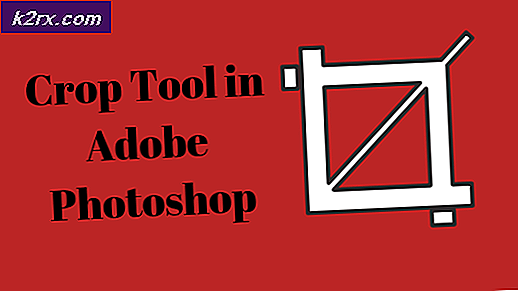 Hoe u de tool Uitsnijden in Adobe Photoshop gebruikt