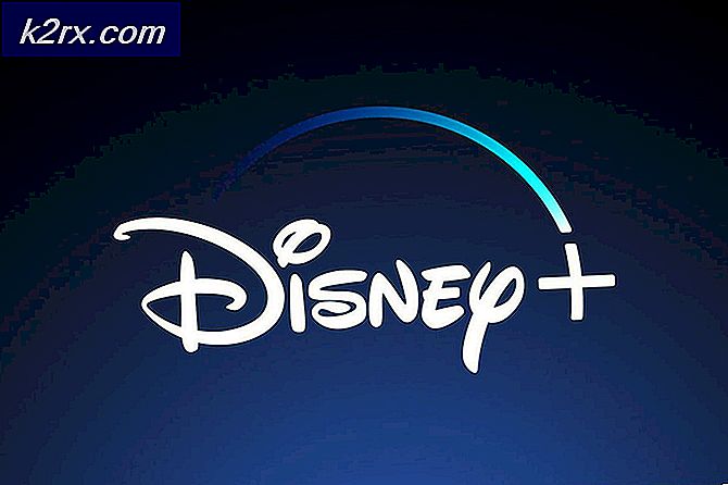 Disney + App tillkännagavs av Disney, planerad för en lansering i november