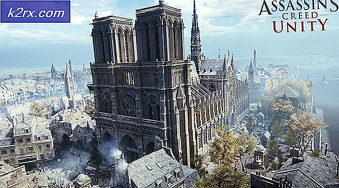 Ubisoft doneert € 500.000 om de Notre-Dame te helpen herstellen, Assassin's Creed Unity is gratis beschikbaar