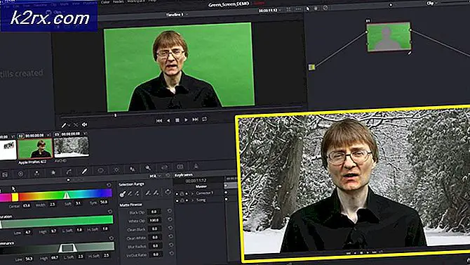 5 Beste Green Screen-software