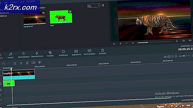 5 Beste Green Screen-software