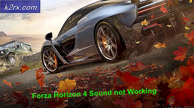 Sådan repareres ingen lyd i Forza Horizon 4