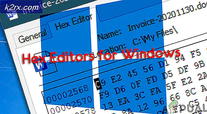 Einfach zu bedienende HEX Editoren für Windows 10