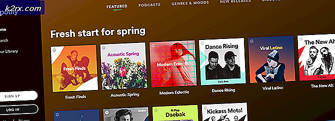 Fix: Spotify Web Player wird nicht abgespielt