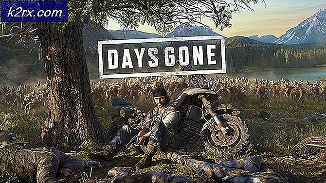 Die PC-Veröffentlichung von Days Gone wurde angekündigt, da das neue Angebot bei Amazon Frankreich online geht