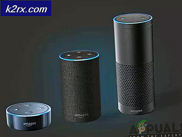 Welches ist das Beste: Amazon Echo Vs Google Home