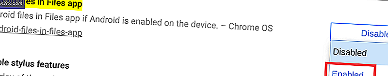 Cách bật tính năng duyệt tệp trên Android trong Chrome OS