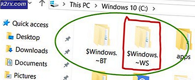 Vad är $ Windows. ~ WS-mappen