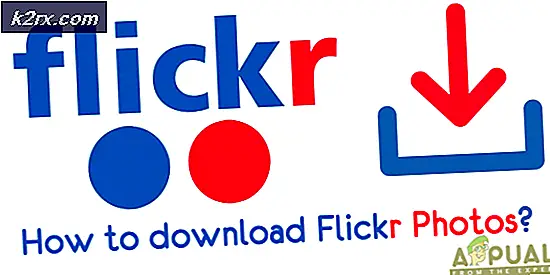 Hvordan downloades Flickr Photos?