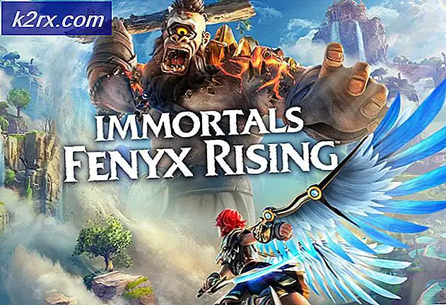 Ubisoft kondigt post-launch content aan van Immortal Fenyx Rising