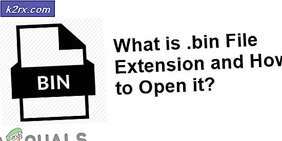 Hvad er en .bin-fil, og hvordan åbner man den?