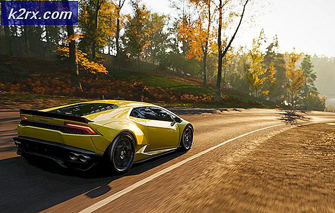 Rapport foreslår at Forza Horizon 5 kan lanseres neste år