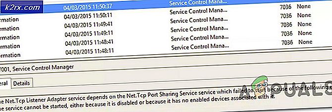 'NET.TCP Port Sharing Service' kunne ikke startes