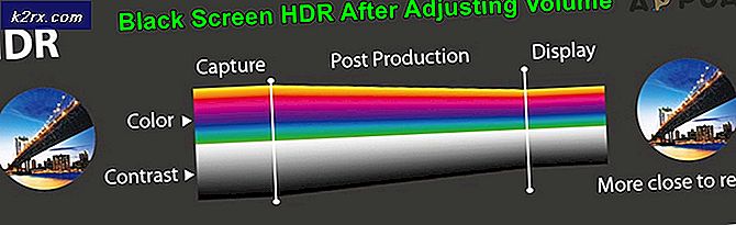 Oplossing: zwart scherm HDR na het aanpassen van het volume