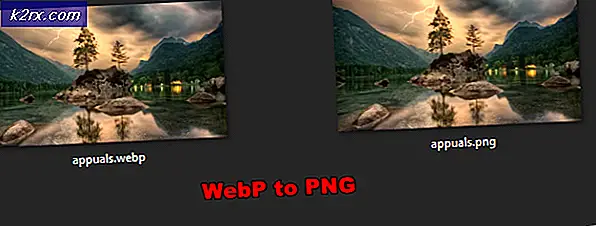 Wie speichere / konvertiere ich WEBP in PNG in Windows 10?