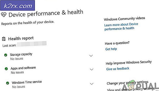 Hvordan skjules enhedens ydeevne og sundhedsområde i Windows 10?