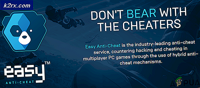 Was ist Easy Anti-Cheat und warum ist es auf meinem Computer?