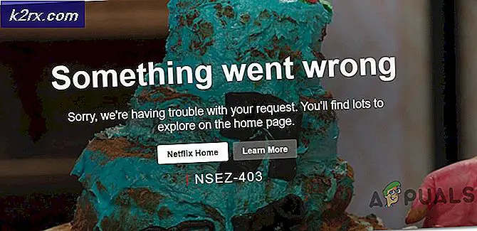 Sådan rettes Netflix fejl NSEZ-403 på Windows