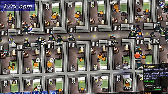 Paradox Interactive koopt Prison Architect, meer ‘Architect’ Games aan de horizon