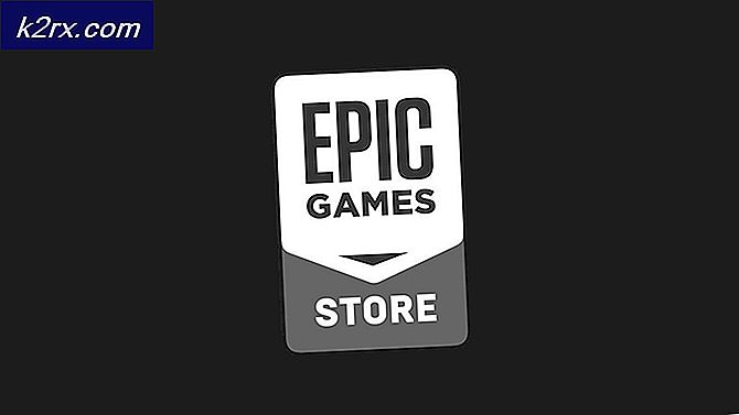 Alternative betalingsmetoder på Epic Store kan opkræve ekstra forbrugere