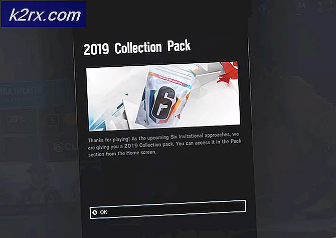 Rainbow Six Siege Bug bestätigt das Einladungsmotiv „2019 Collection Pack“