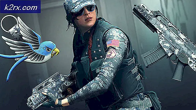 Ash mister Acog i Rainbow Six Siege’s Upcoming Patch, Major Balance Changes Incoming