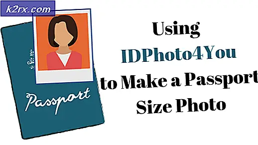 Sådan laver du et passtørrelsesfoto ved hjælp af IDPhoto4You
