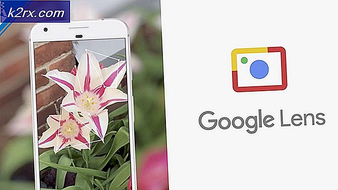 Google Lens Sekarang Dapat Menerjemahkan 100 Bahasa Secara Real Time