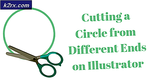 Hvordan kutte en sirkel i forskjellige baner på Illustrator