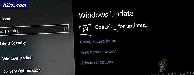 Windows Slow Ring Insiders for å få en ny 19H2-bygging i dag