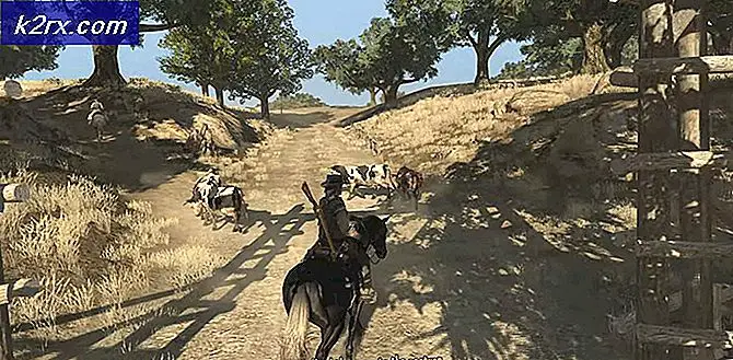 Red Dead Redemption PC 