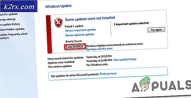 Sådan løses Windows Update-fejl 8020002e?