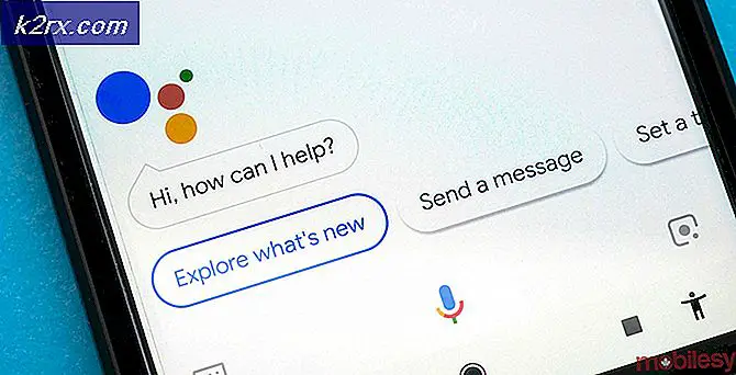 Google udruller en tolketilstand til Google Assistent til både iOS- og Android-enheder