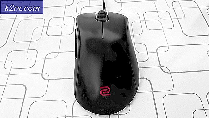 BenQ Zowie EC1-B Ergonomische Gaming Mouse Review