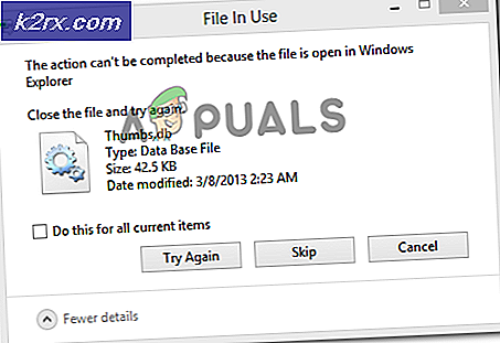 Fix: Die Aktion kann nicht abgeschlossen werden, da die Datei im Windows Explorer geöffnet ist