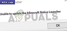 Fix: Der Minecraft Native Launcher kann nicht aktualisiert werden