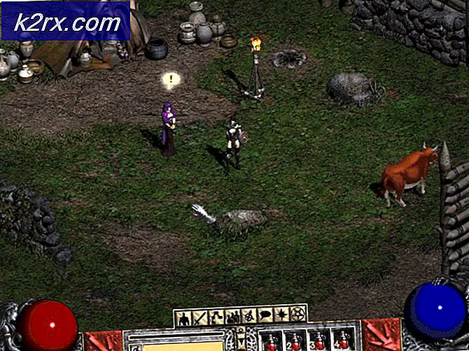 Gerücht: Diablo 2 Remaster soll vor Ende 2020 starten