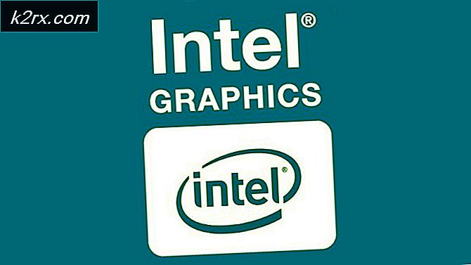 Hasil Tolok Ukur Kartu Grafis Intel Xe DG1 Menunjukkan Ini Lebih Cepat Dari Semua iGPU Tapi Lebih Lambat Dari Anggaran AMD Dan GPU NVIDIA
