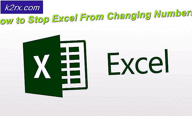 Sådan Stop Excel Fra Ændring Numbers?