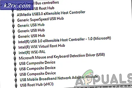 Hvad er ASMedia USB Root Hub?