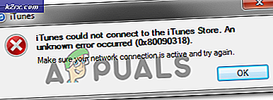 Fejlkode 0x80090318 ved adgang til iTunes Store-webstedet