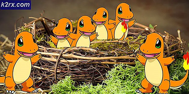Pokémon GO: Konsep Pokémon Grinding Dijelaskan