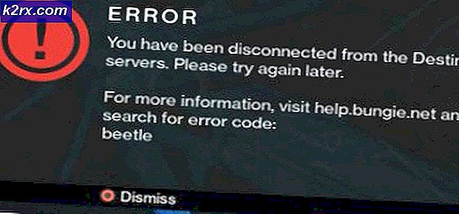 Fix: Destiny Error Code Beetle