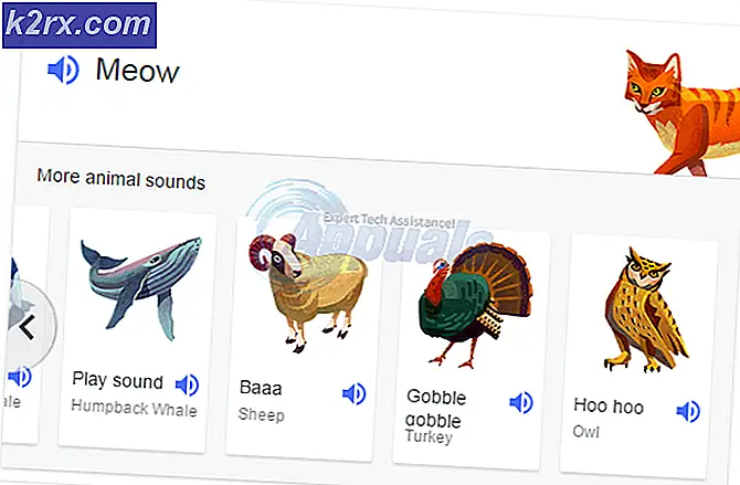 Hoe u uw kinderen dierengeluiden leert gebruiken met Google